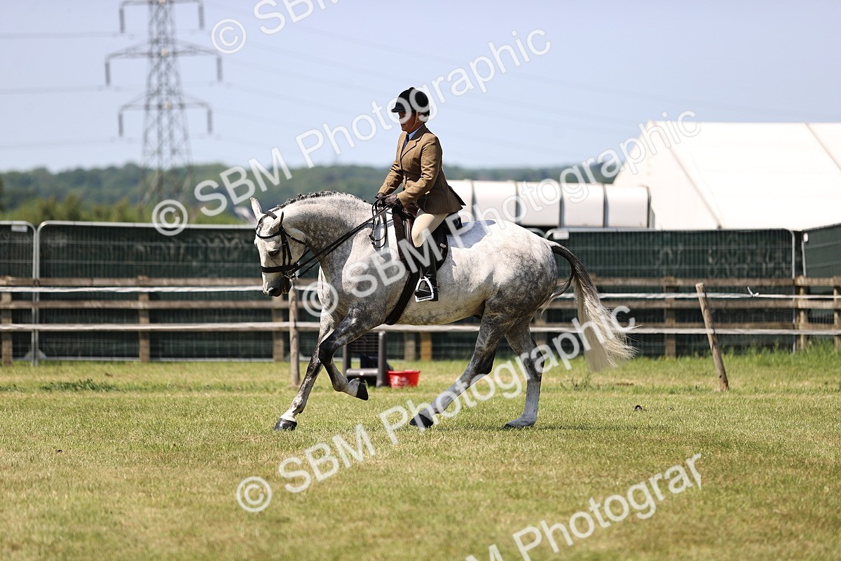 SBM_17749 - Class 81-83 - TSR Ridden Amateur of the Year - Horses