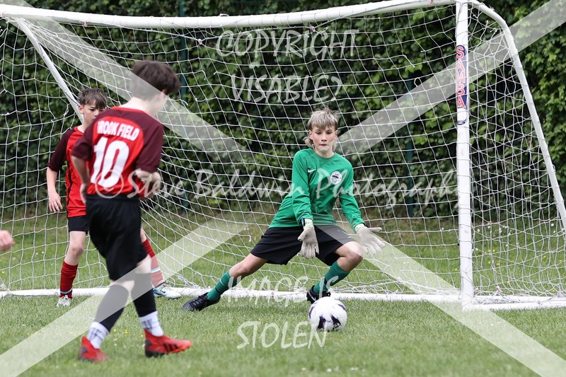 1DX31262 - Brook Field V Goddard Park