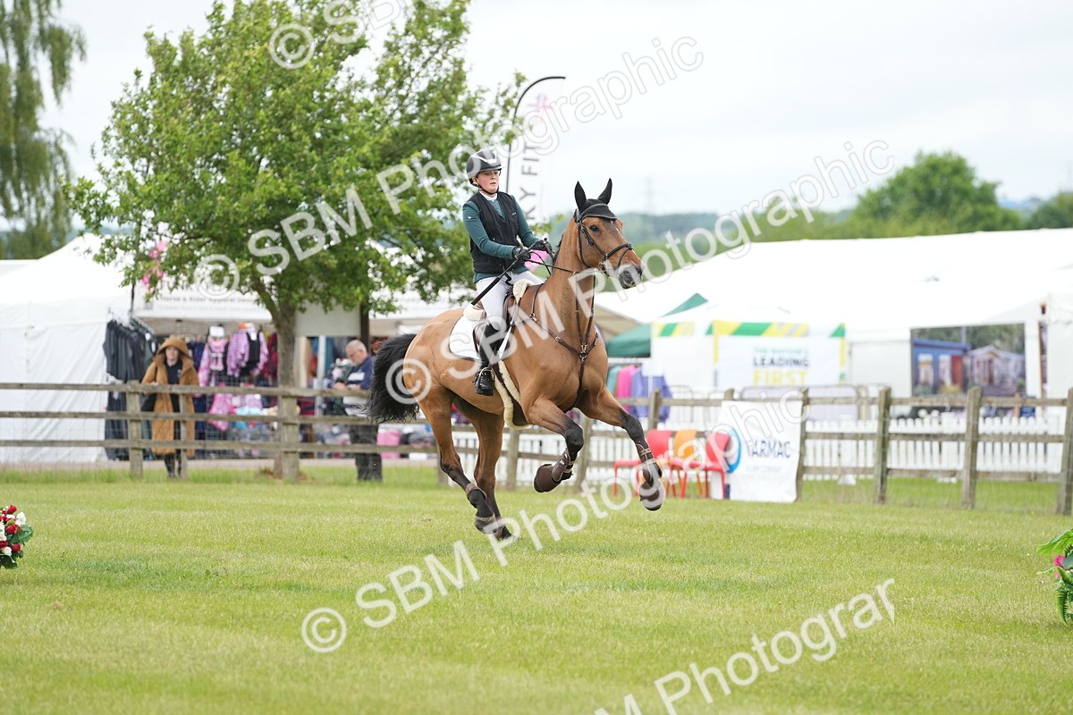 SBM_03484 - Class 201 - British Horse Feeds Speedi Beet Horse of the Year Show Grade  C