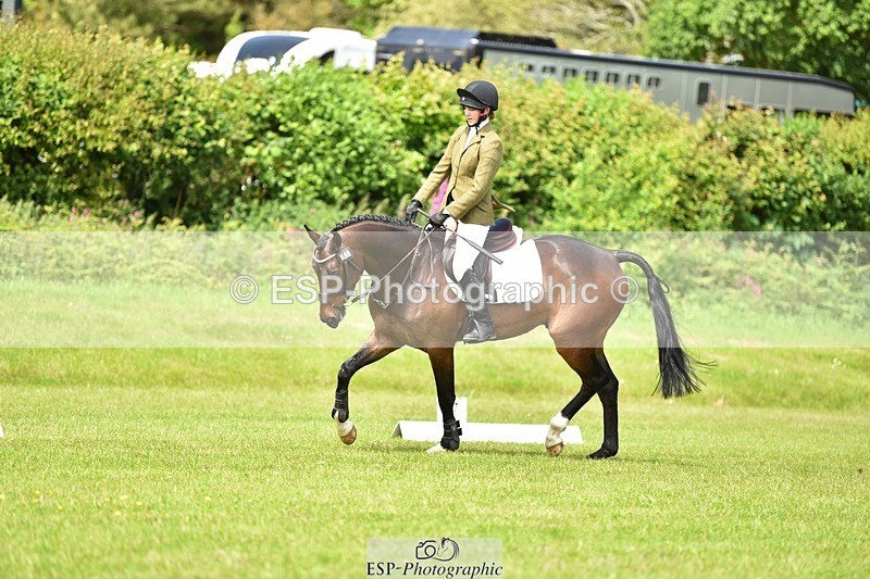 240523B-131824-02368 - 5 Year Old