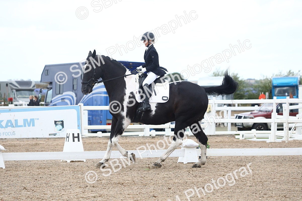 SBM_04965
