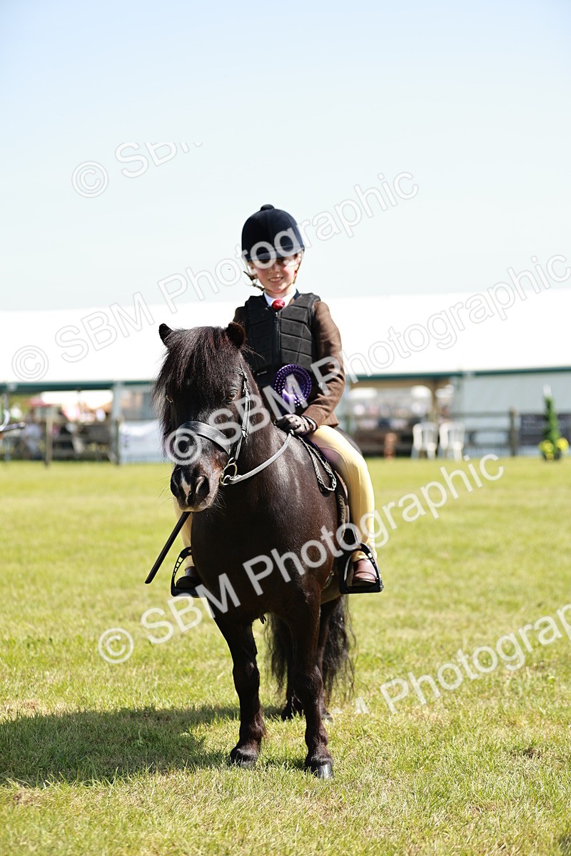 SBM_12809 - Class 106-107 - BSPS LIHS Working Sports Pony