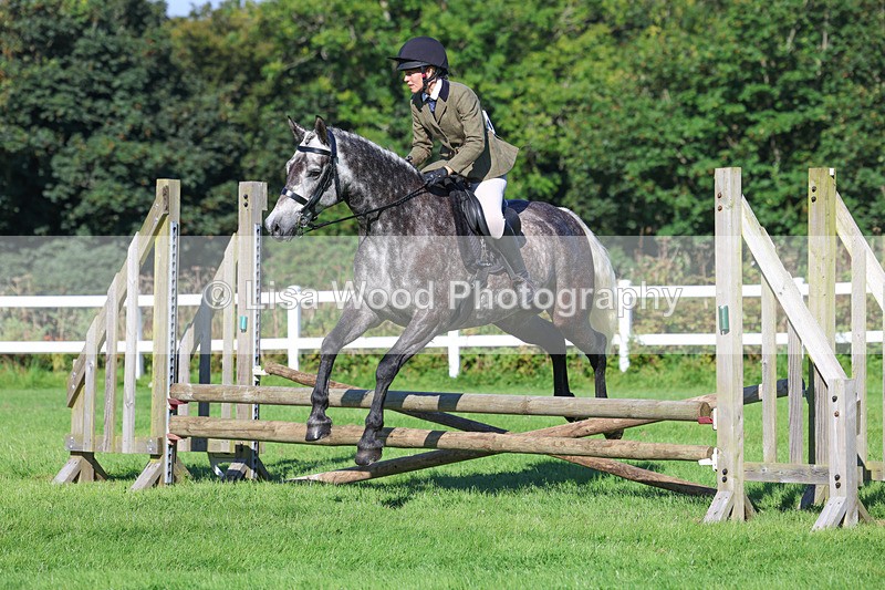 3E7A7763 - Class 2: Open Working Hunter pony
