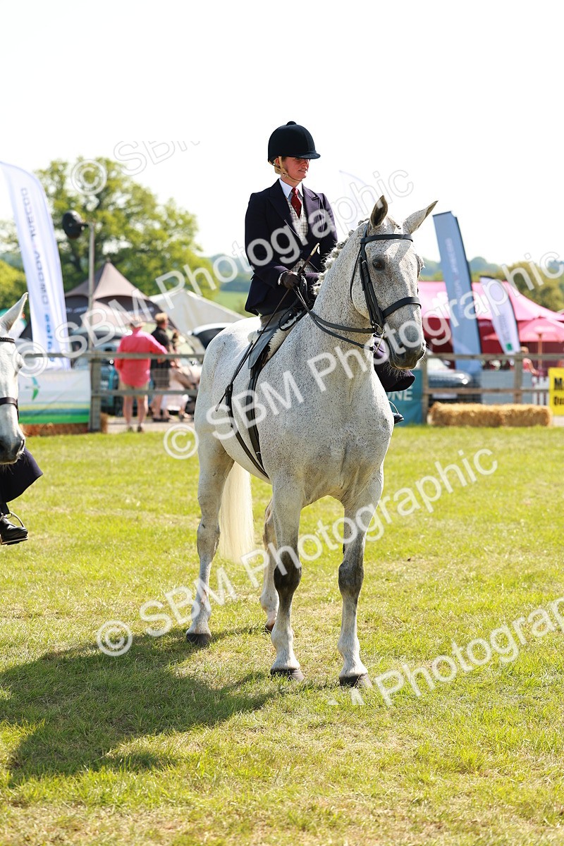 SBM_13238 - Class 70-71 - Side Saddle
