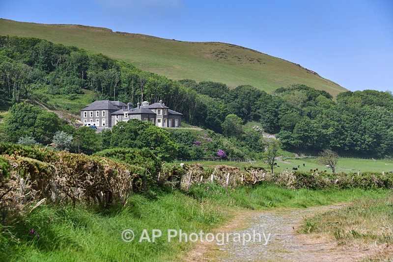 ANT_7177-1 - Tanybwlch