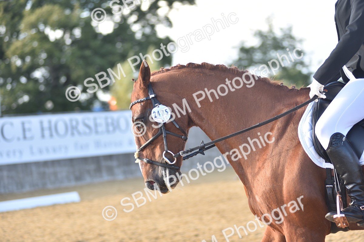 SBM_29714 - D16 -Small Tour Championship Novice 2
