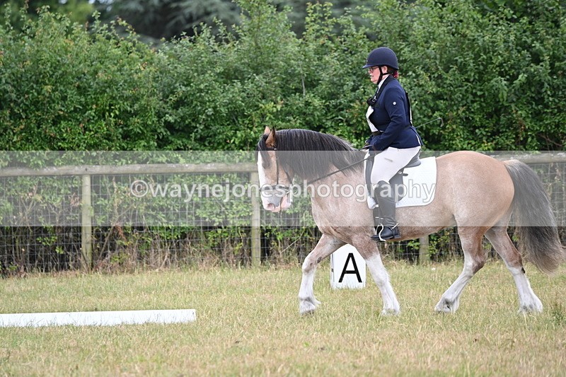 WJ6_3025 - Time 11:07 to 11:34