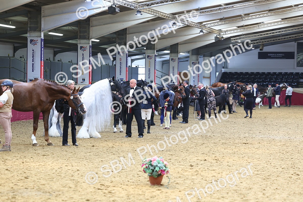 SBM_22920 - Class 903 - Supreme Final - IH Pre Vet
