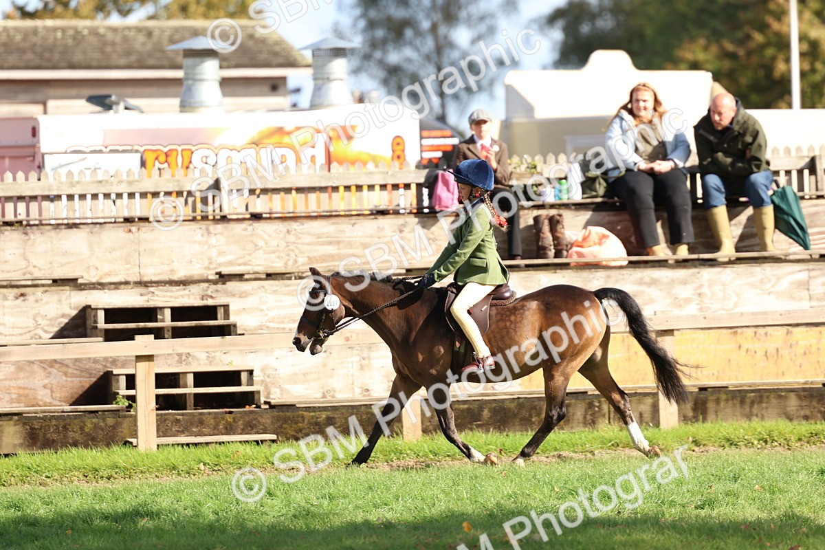 SBM_47762 - S28 - Veteran Ridden