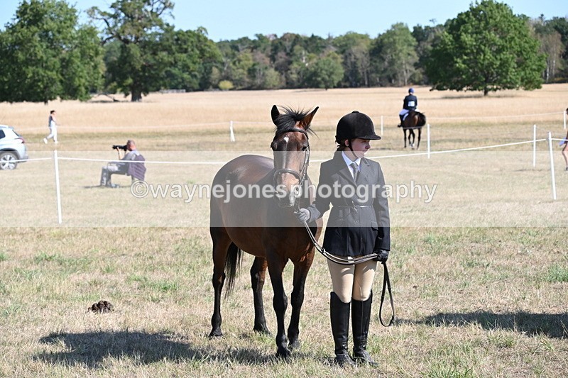 WJ6_7627 - Class 34 Judges Choice