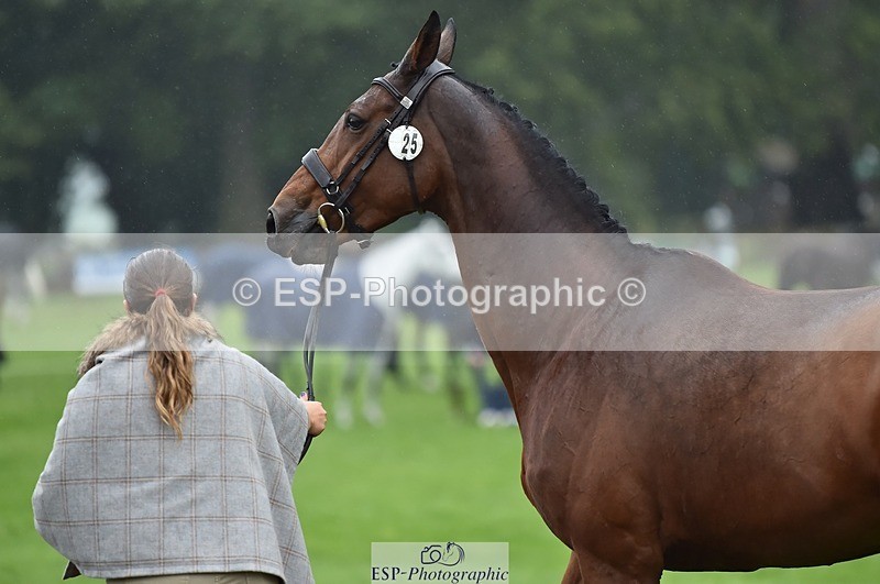 231018-121712-00188 - 025-LYRICAL.II-Harriet.Dickin-TrotUp