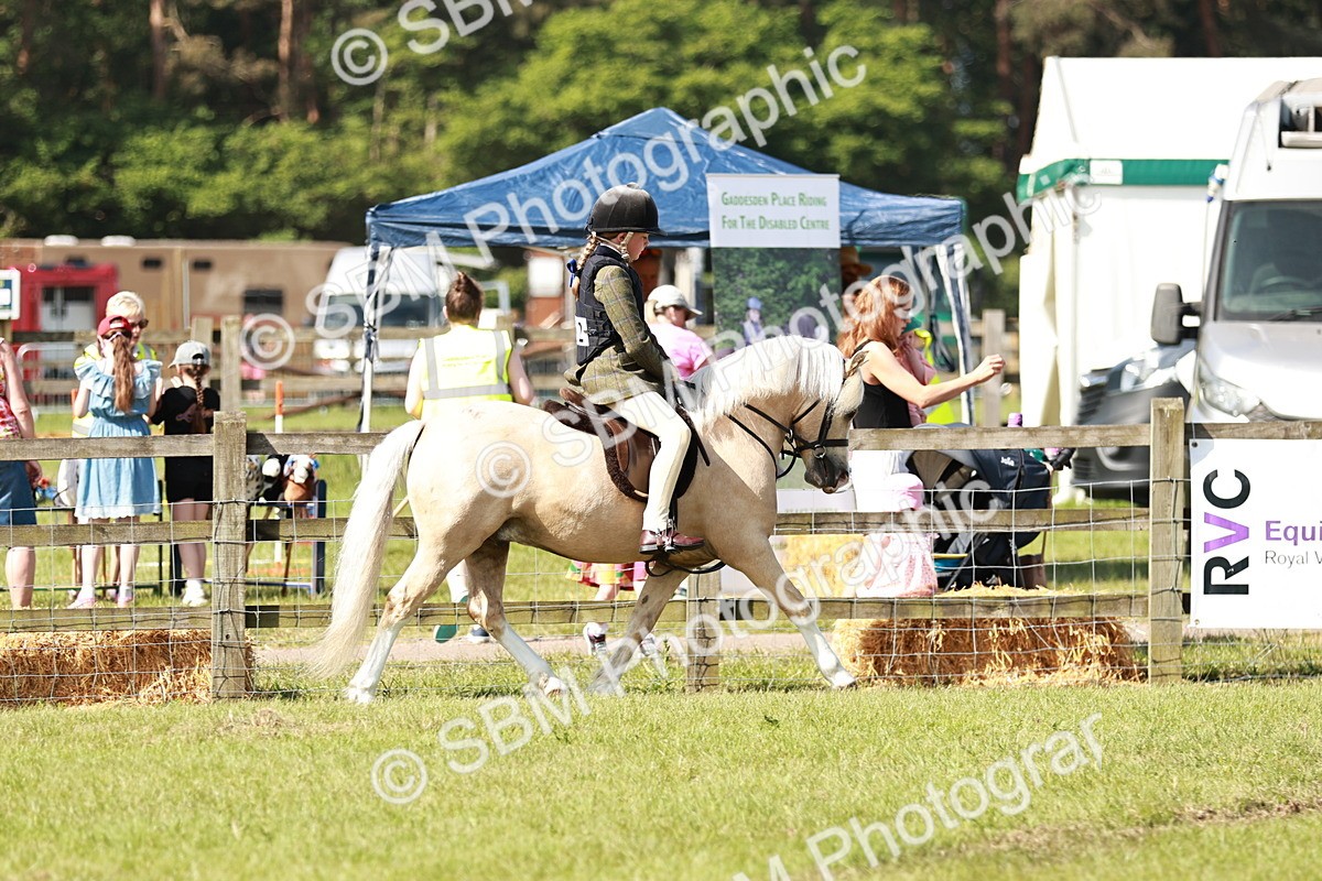 SBM_12670 - Class 106-107 - BSPS LIHS Working Sports Pony