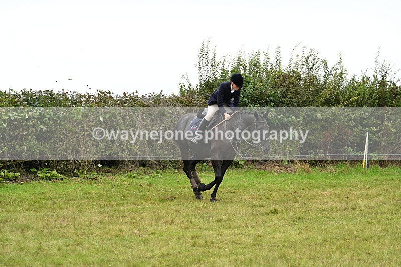 WJ7_4233 - Camera 1 Line 2