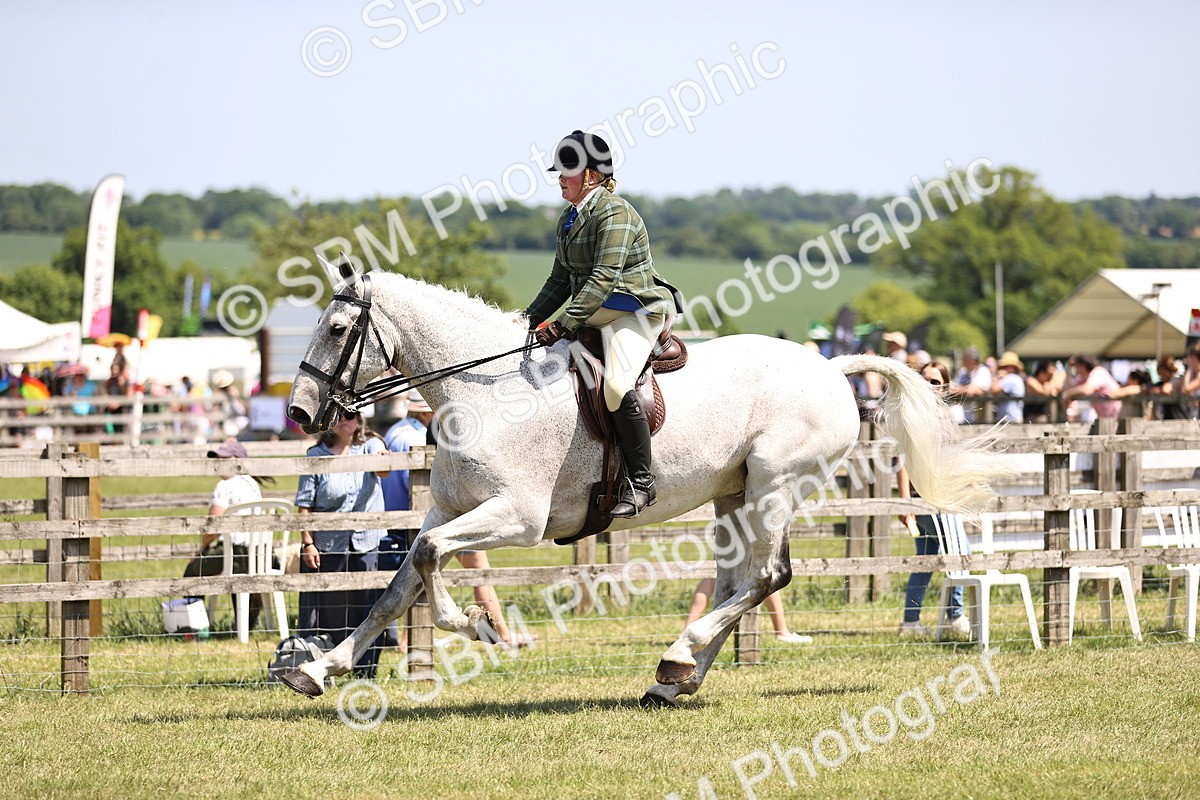 SBM_16127 - Class 79-80 - LIHS BSHA Rising Star Ridden Hunter