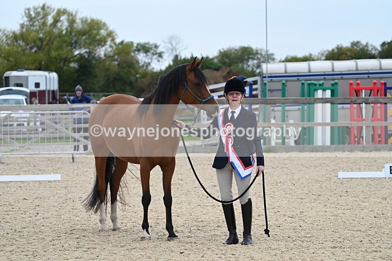 WJ7_1936 - Class 1 & Champs