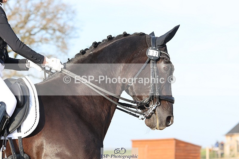 250404-181332-08242 - 132-Marie-Ayesha.Barilits-Gupta-Rob.Roy.II