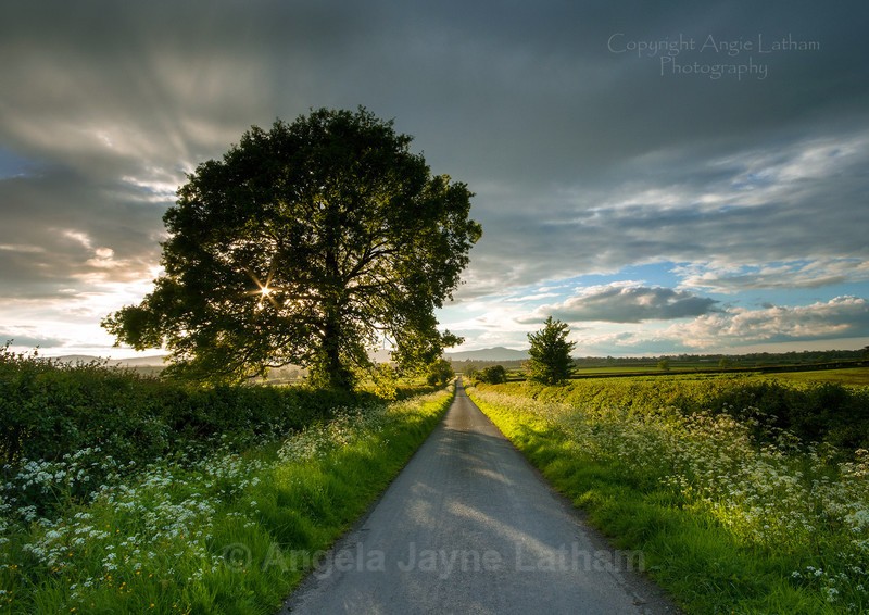 May evening sunburst - England & The Shires
