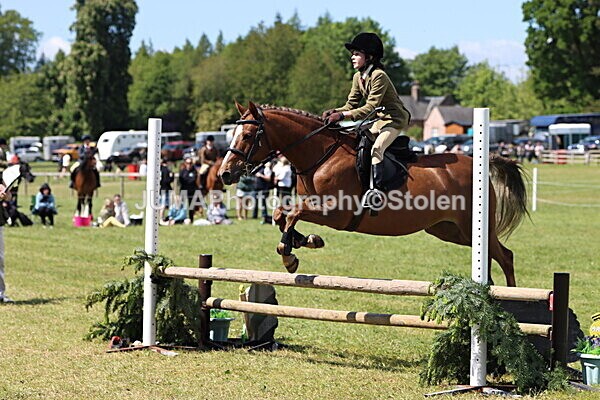 IMG_3634 - Working Hunter