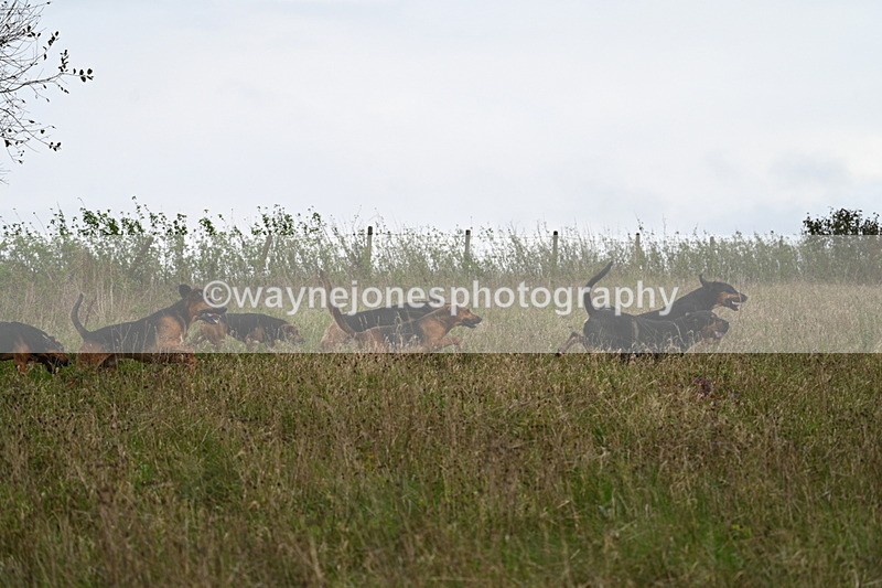 WJ7_9821 - Camera 1 & Last fence