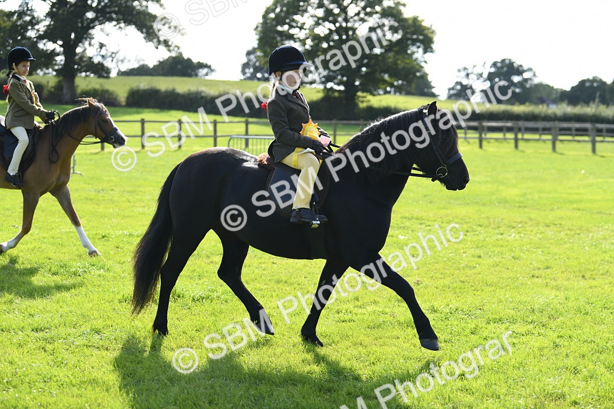 SBM_50520 - S21 - Novice & Newcomers 1st Ridden Pony