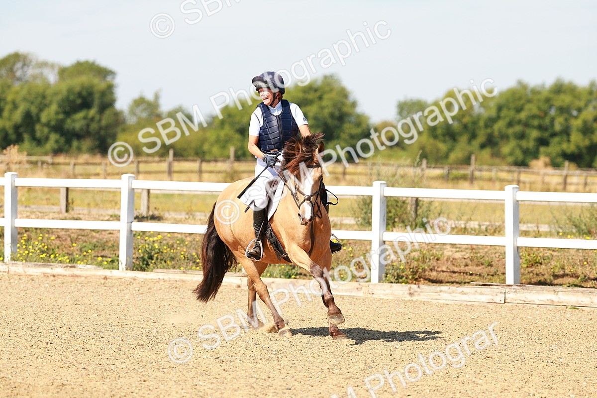 SBM_000760 - AE - 50cm