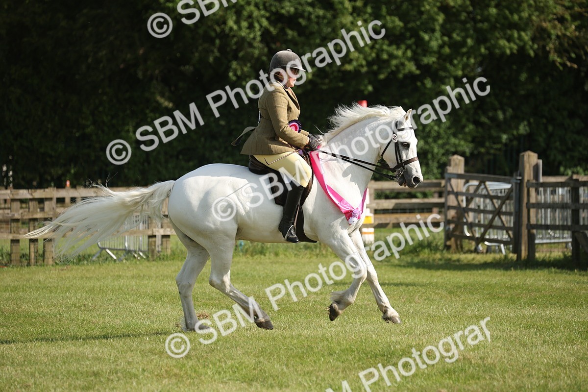 SBM_10277 - Class 33-38 - SSADL RIHS Qualifiers
