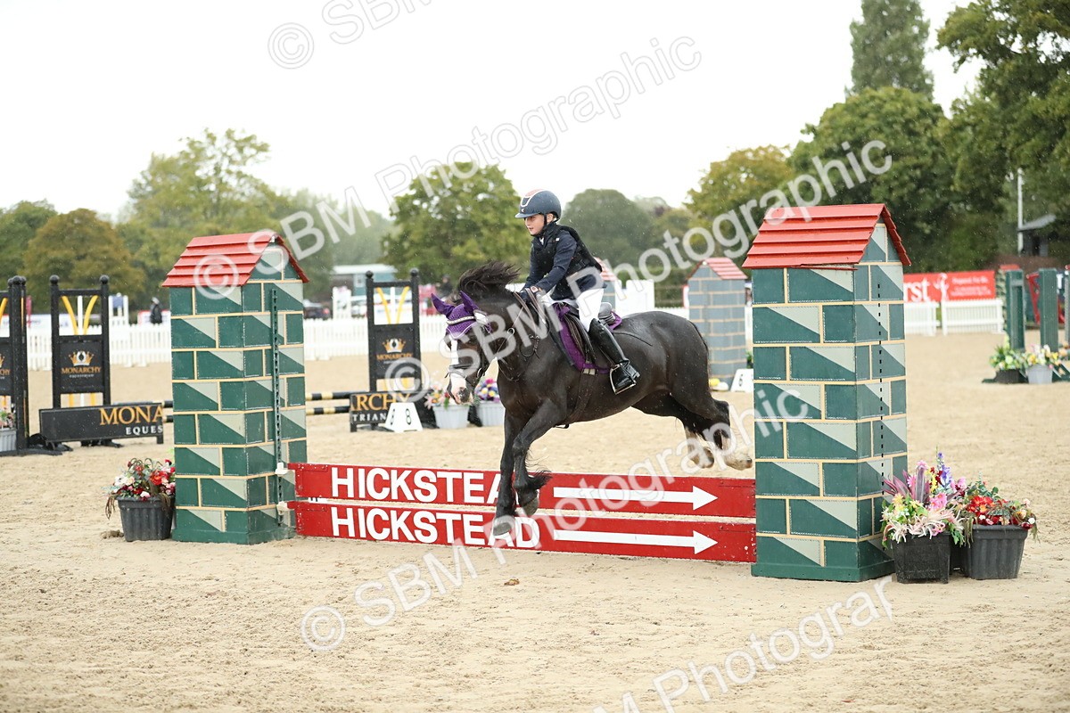 SBM_34341 - J60 Clear Round 50cm