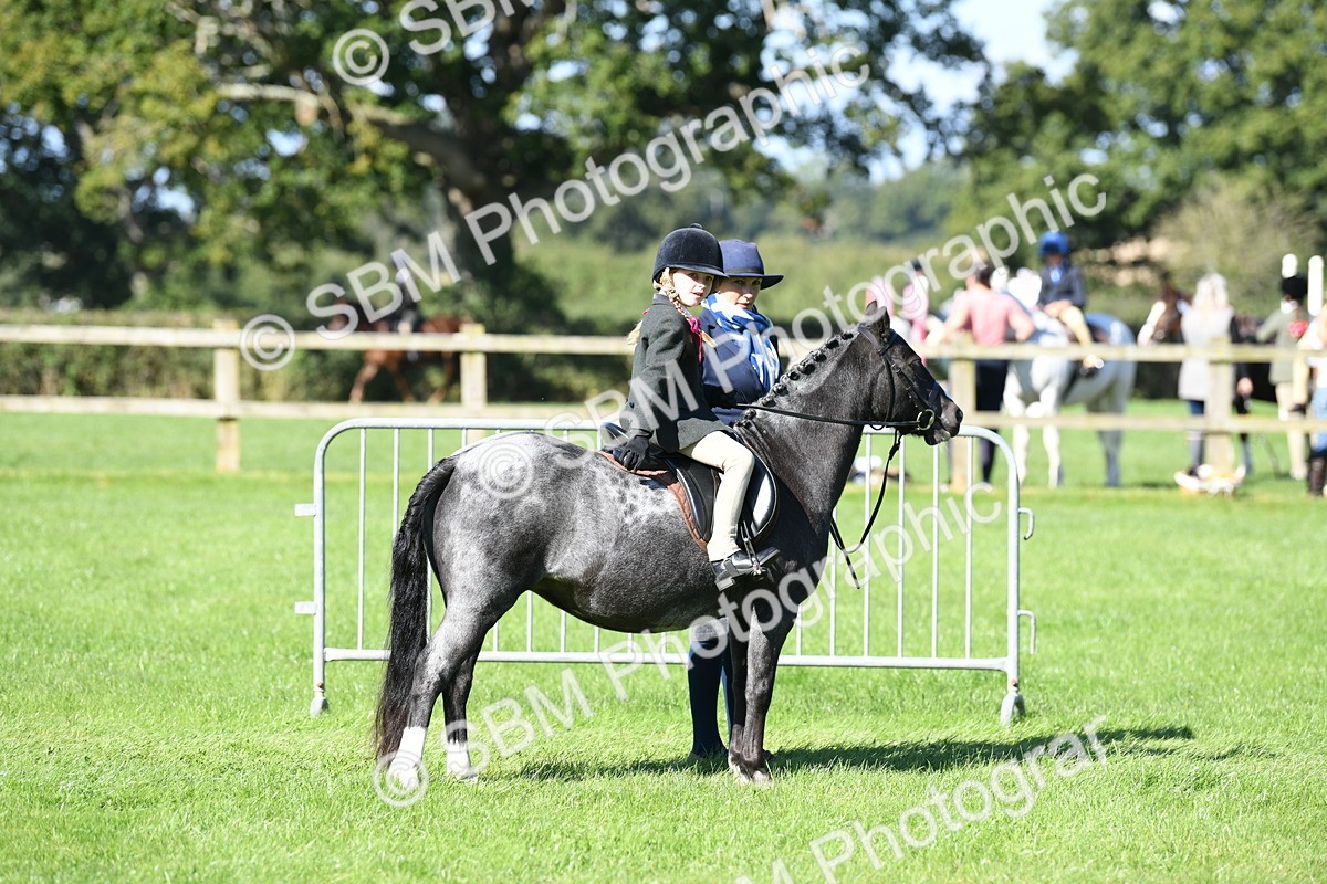 SBM_39564 - S18 - Novice & Newcomers Lead Rein Pony