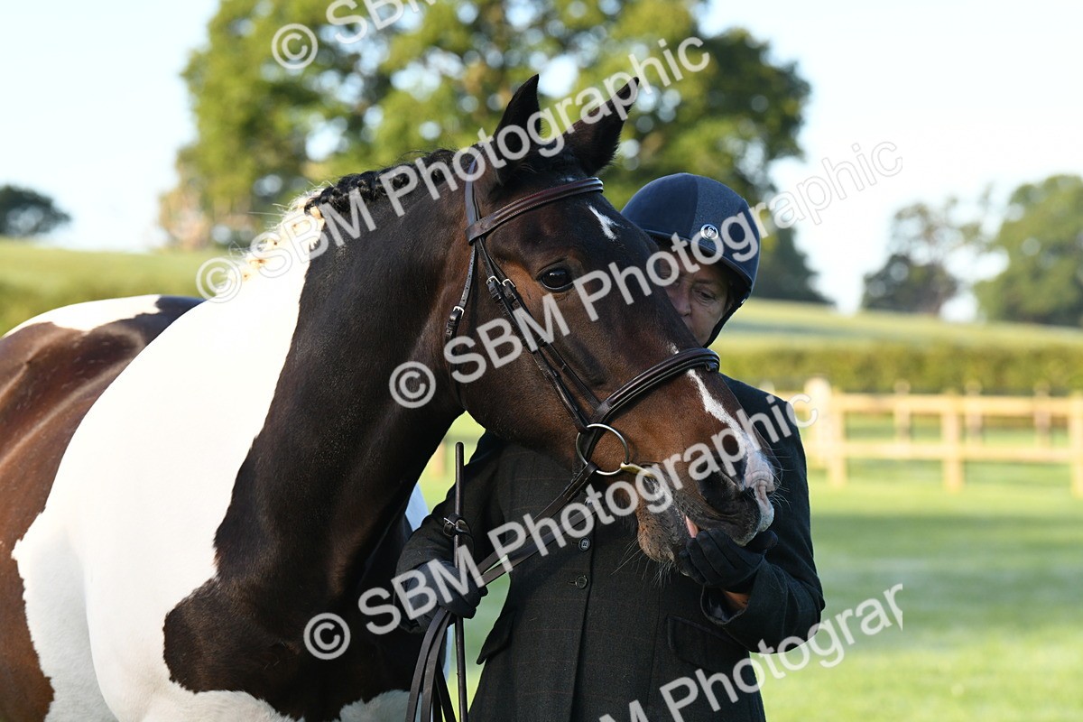 SBM_32648 - S15 - Condition & Turnout In Hand