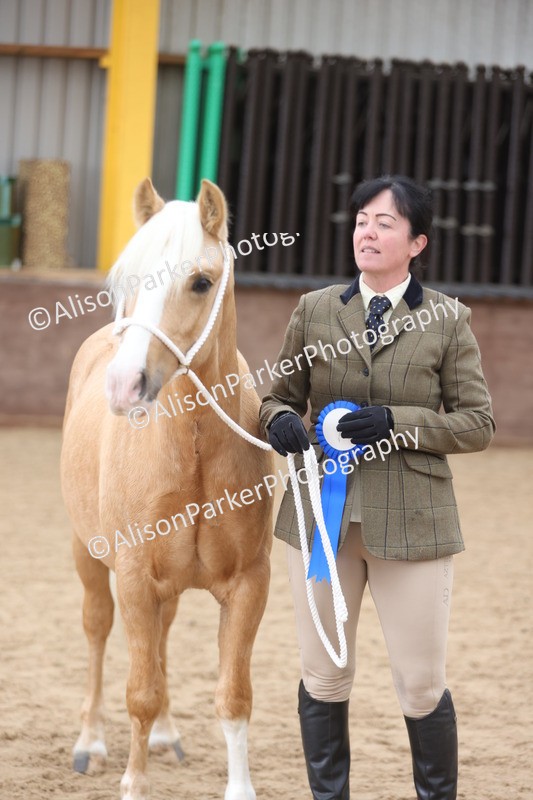 20251109-0865 - Class 25 - Yearling, Colt, Filly or Gelding