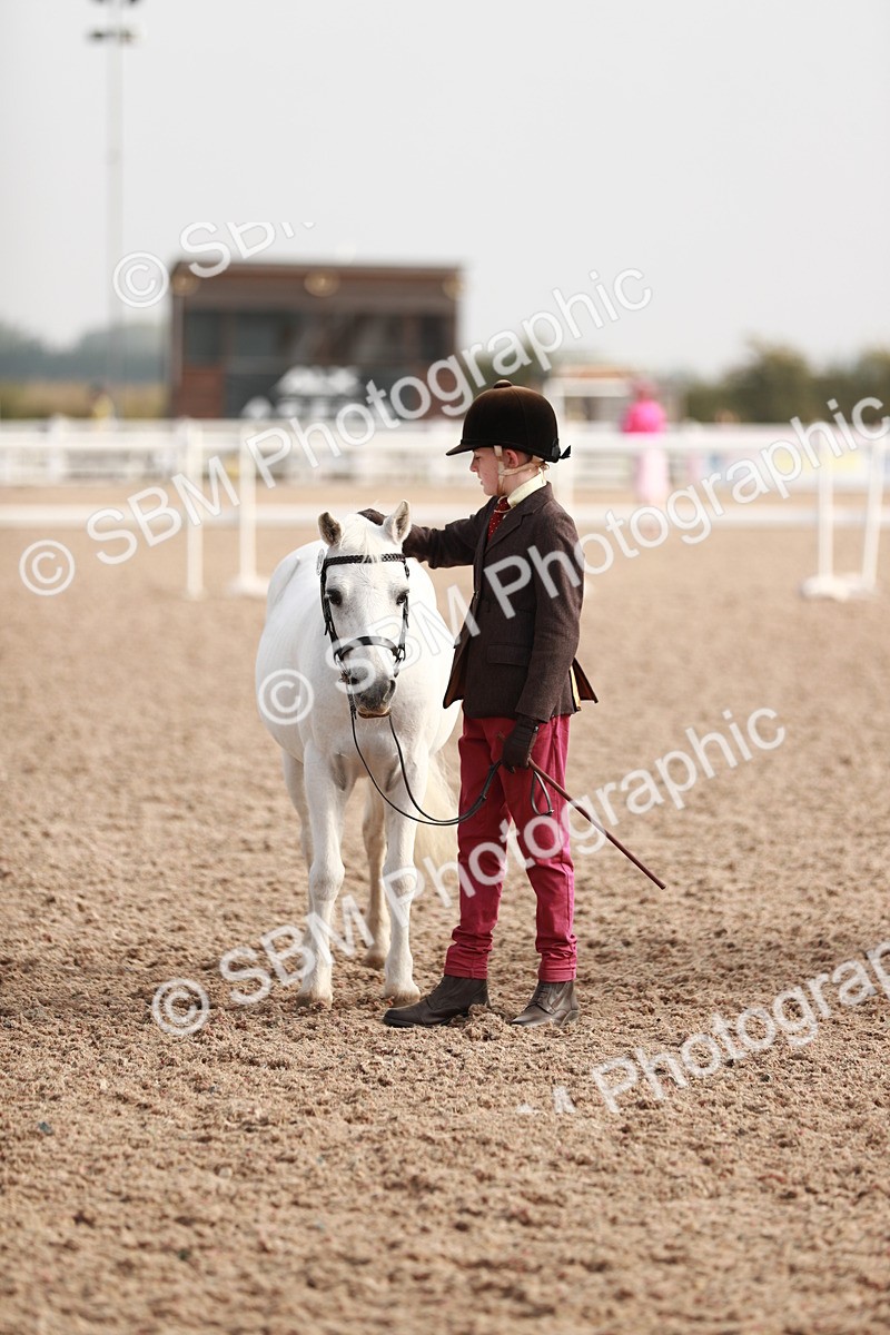SBM_10589 - Class 204 Young Handler, 11-16 years