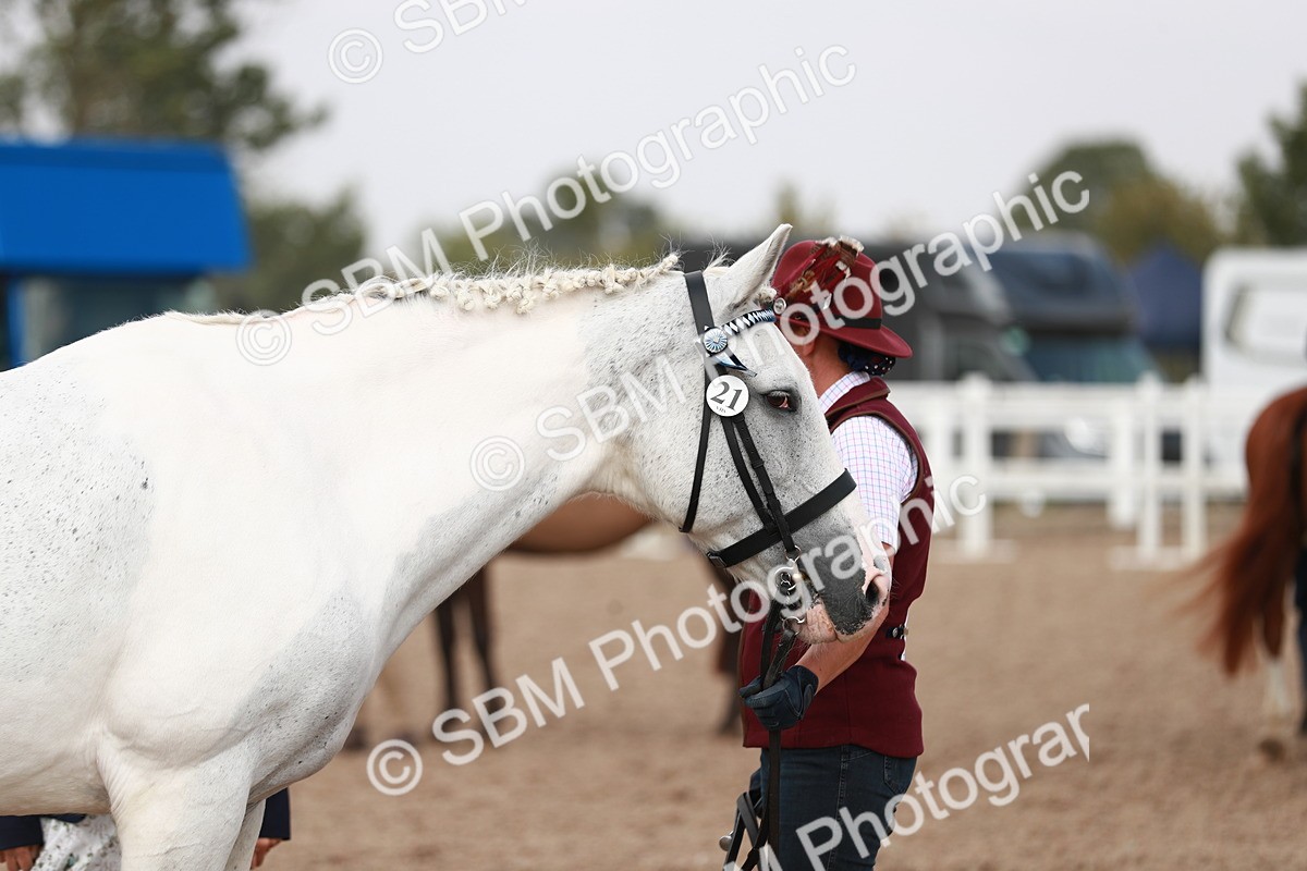 SBM_13221 - Class 208 IH Veteran Horse