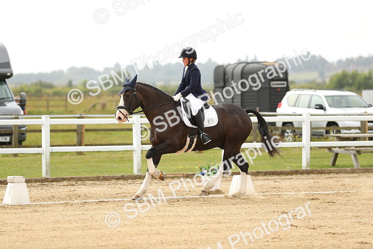 SBM_017249 - Class 13 - Novice 23 - 13.31-14.13