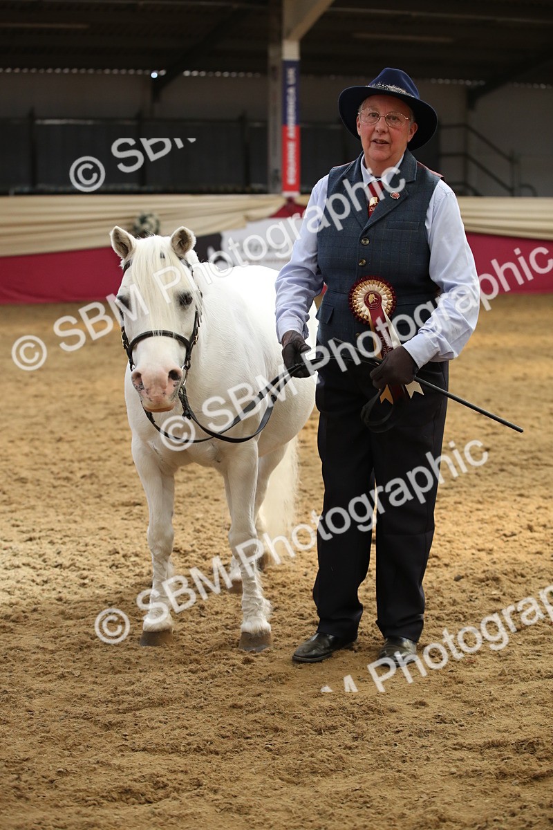 SBM_05445 - Class 8R - Regional IH Veteran
