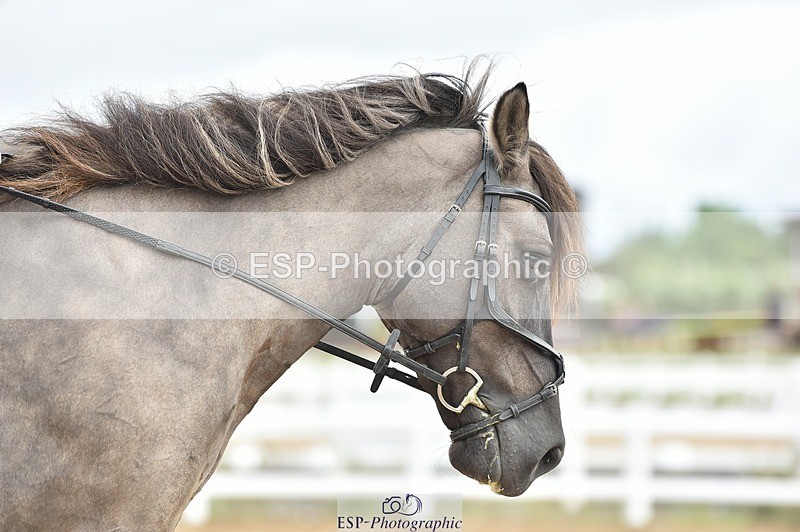 250622-111500-14277 - Quest Cls 25-30 Prelim Tests