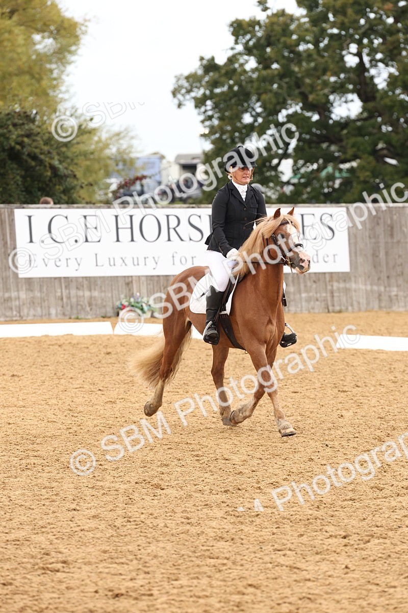 SBM_40571 - D6 - Small Tour Championship Intro 4