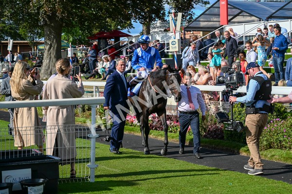 240824-Race 5-Elmonjed-1565 - Race 5 4.10pm Sky Bet Constantine Handicap