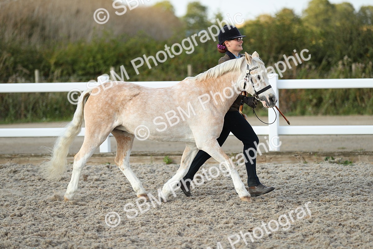 SBM_09123 - Class 29 IH Veteran Pony