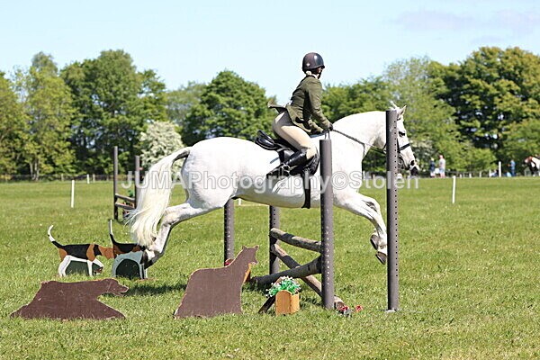 IMG_3846 - Working Hunter