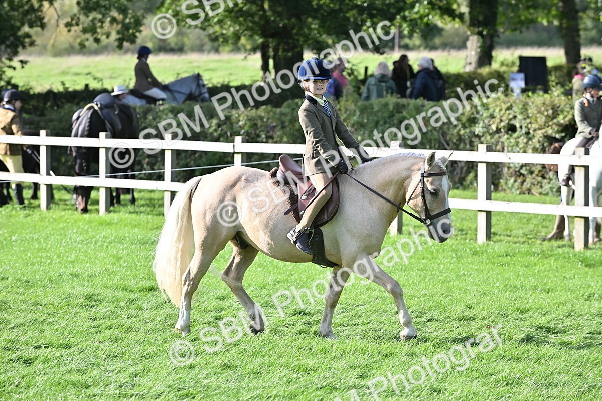 SBM_51257 - S22 - First Ridden show and show Hunter Pony