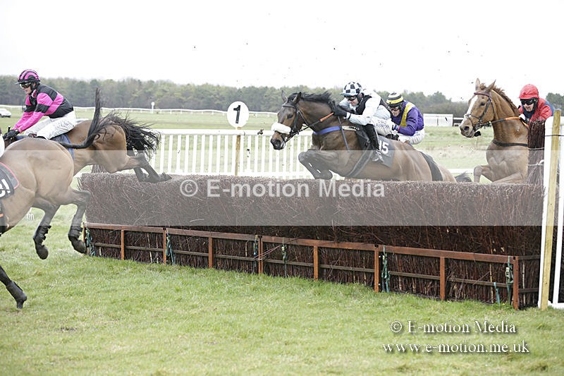 PtP 150320 0198 - New Forest Point-to-Point Larkhill 15/03/20