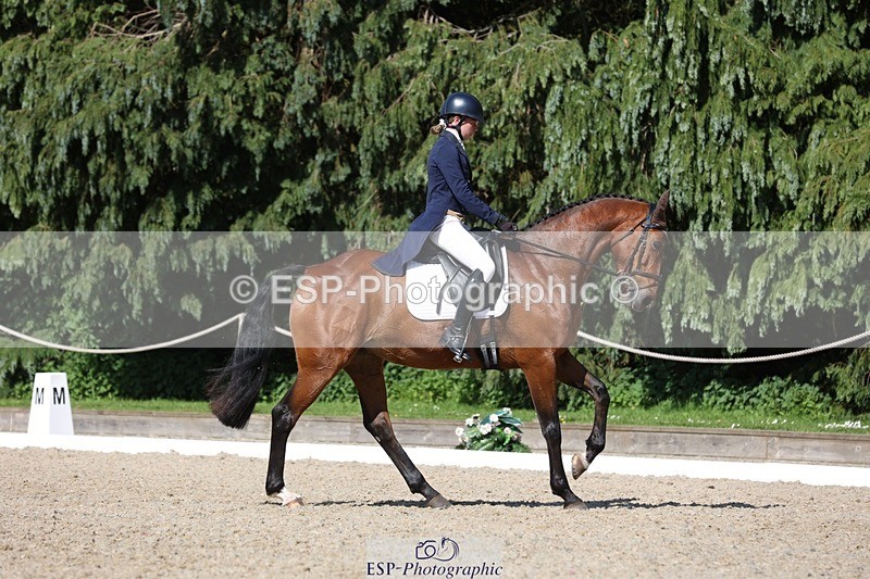 230526-162643-07822 - 171-SLANEYSIDE_COOLEY-Lara_Chapple-WEDTrotUp+DR