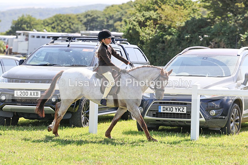 IMG_1941 - Class 33: Show Pony 148cm and under