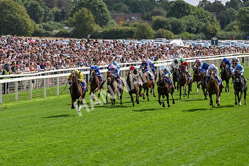 220826-Race 2-Infraad-0267 - Race 2 14.25pm Sky Bet Melrose Handicap