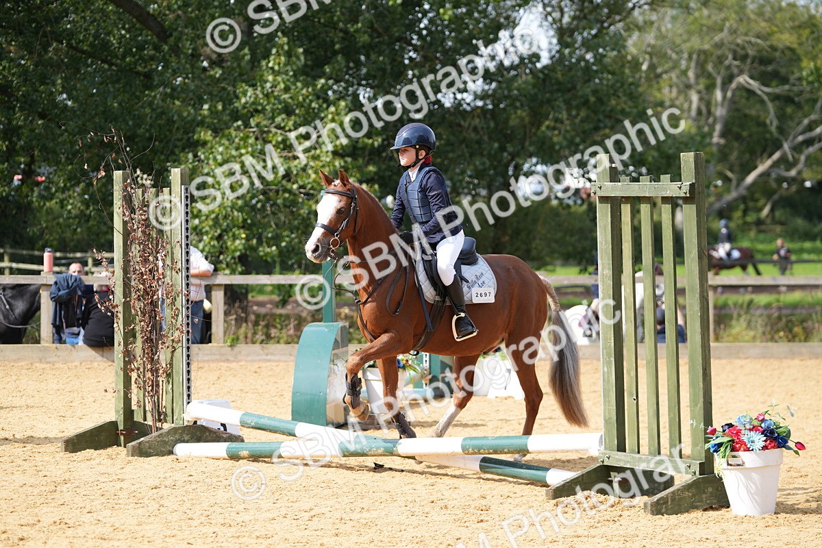 SBM_65796 - J2 - Mini Tour Junior Pony 30cm Championship