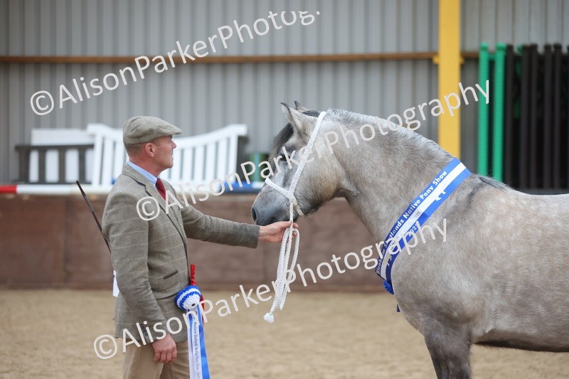 20251109-1174 - Championship