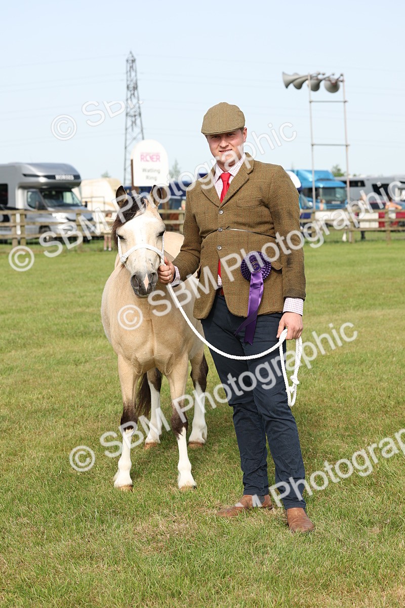 SBM_00597 - Class 6-13 - Mountatin and Moorland In Hand Welsh Breeds