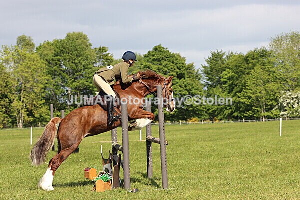 IMG_4727 - Working Hunter