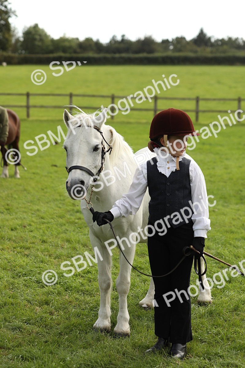 SBM_68702 - S40 - Junior Handler 9-12 Years