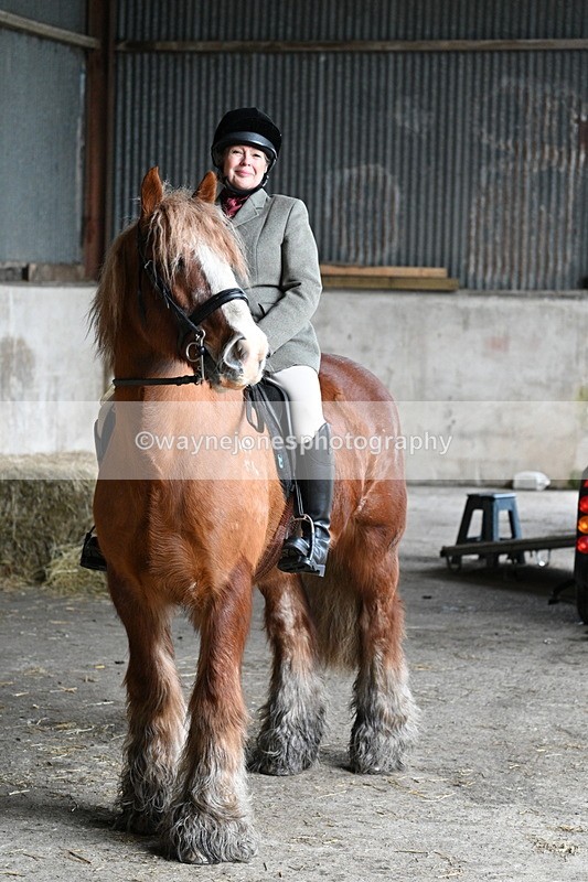 WJ7_8663 - Berks & Bucks - Rowles Farm 15-02-26